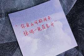 莱城侦探公司：婚姻撤销办理程序